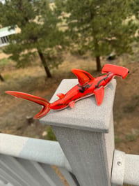 Image 5 of Hammerhead 19/50