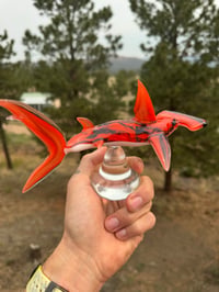 Image 2 of Hammerhead 20/50