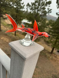 Image 4 of Hammerhead 20/50