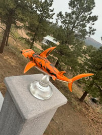 Image 4 of Hammerhead 21/50