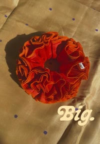Image 2 of Summer Edition: Tangerine