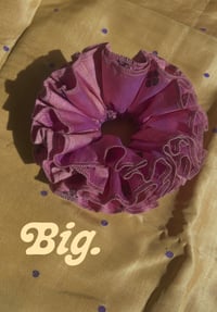 Image 2 of Summer Edition: Iris 