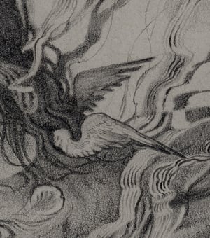 "Wacholder" // Original Drawing. 