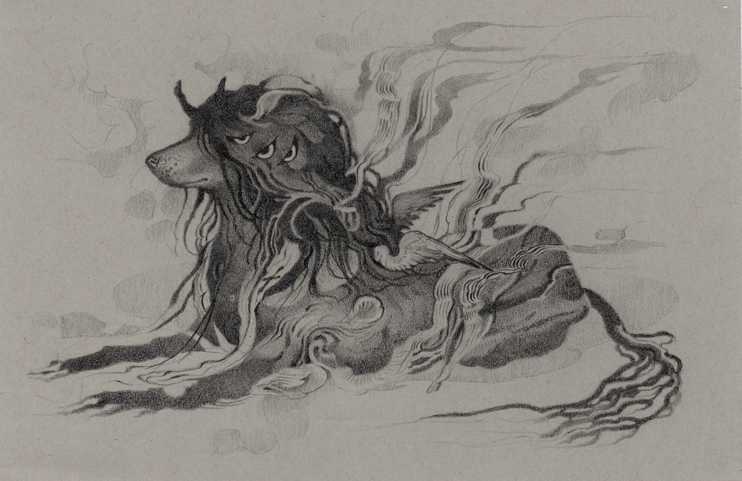 "Wacholder" // Original Drawing. 