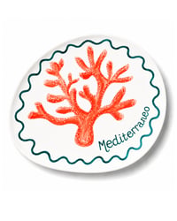 Mediterraneo Plate