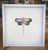 Seaglass and Shell Dragonfly 
