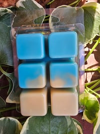 Image 3 of Sweet Solitude-a Rocky Top Wax Works exclusive custom houseblend fragrance 