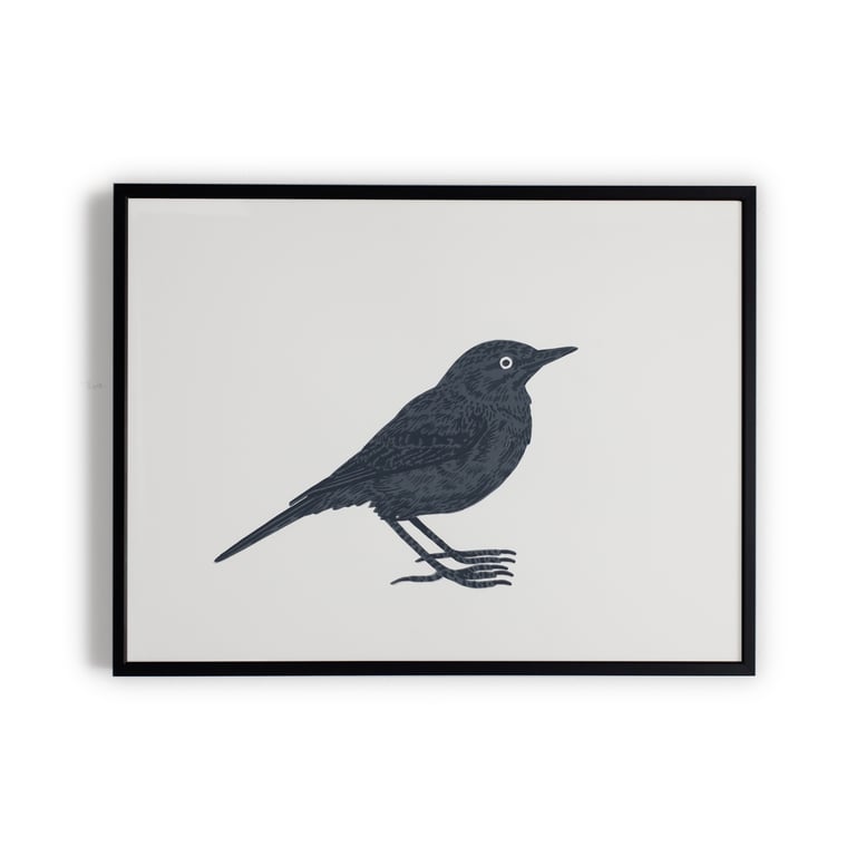 Tawny Pipit | Duinpieper