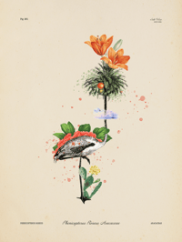 Flamingo Palm - Vintage Surrealist Art Print