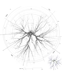 Image 5 of 3D Scanning Trees – Course Registration