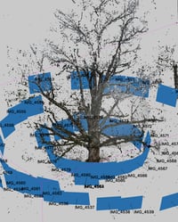 Image 2 of 3D Scanning Trees – Course Registration