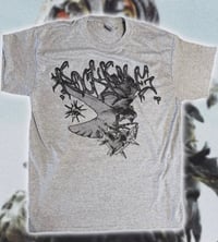 Bird T