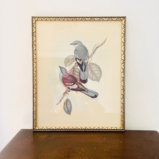 1950’s Framed Dove Print