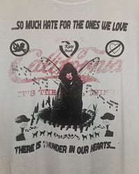 Image 2 of so much hate for the ones we love (large blastover)