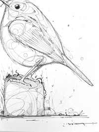 Image 3 of Silent Perch