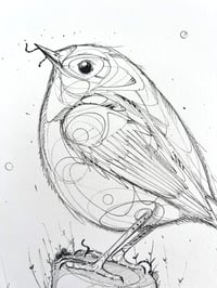Image 4 of Silent Perch