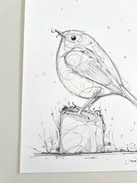 Image 5 of Silent Perch