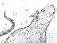Image 5 of Curious Soul