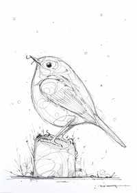 Image 1 of Silent Perch
