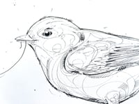 Image 2 of Little Wanderer