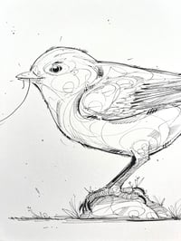 Image 3 of Little Wanderer