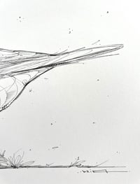 Image 4 of Little Wanderer