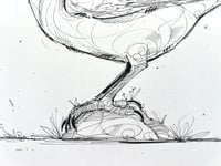 Image 5 of Little Wanderer