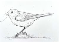 Image 1 of Little Wanderer