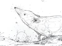 Image 2 of Ground Scent