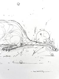 Image 4 of Ground Scent