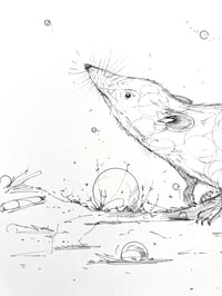 Image 5 of Ground Scent