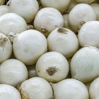Image 1 of Italian Tonda Musona White Onion
