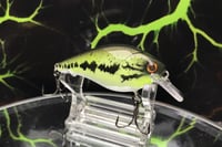 Image 2 of Squarebill LC 2.5 Crankbait   8511