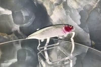 Image 4 of BFS Jerkbait 108