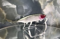 Image 6 of BFS Jerkbait 108