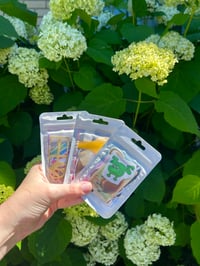 Image 3 of Mystery Scrap Packs 