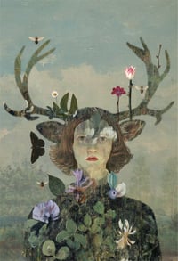 Image 1 of Wild Thing