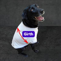 Image 5 of 17-19" girth (medium) White cotton dog shirt