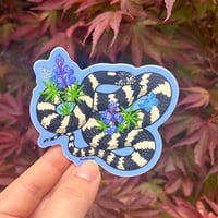 California Kingsnake Sticker