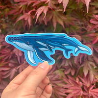 Humpback Whale & Calf Sticker