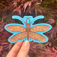 Dobsonfly Sticker