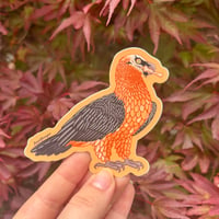 Bearded Vulture Sticker