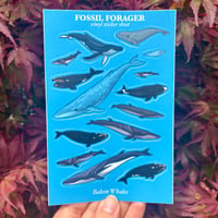 Baleen Whales Sticker Sheet