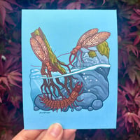 Dobsonfly Postcard Print