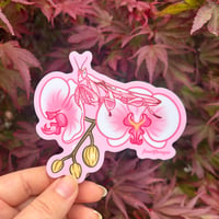 Orchid Mantis on Orchid Sticker