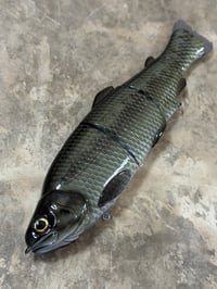 Image 1 of Immortal Trout 7.7 “Dark Bass”