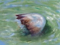 Image 1 of Flow + Float