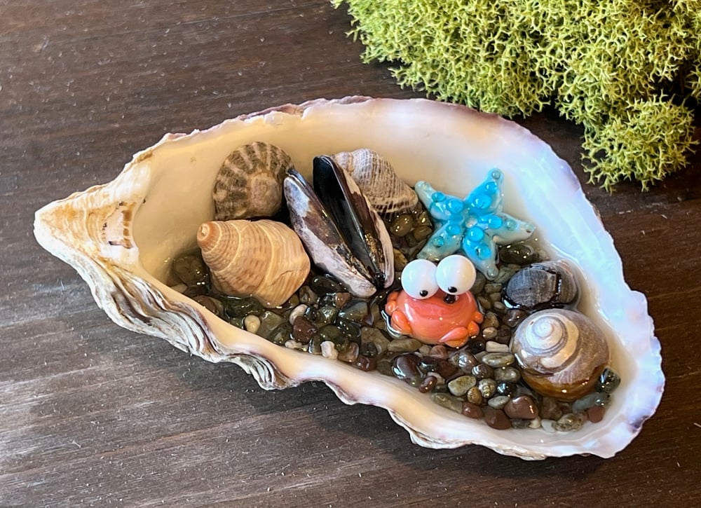 Image of Tide Pool