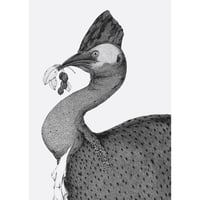 Image 2 of This Old Skin