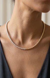 Image 1 of Silver and gold necklace 